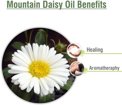 Mountain Daisy (Celmisia Spectabilis) Essential Pure & Natural Undiluted Uncut Oil - 15 ml