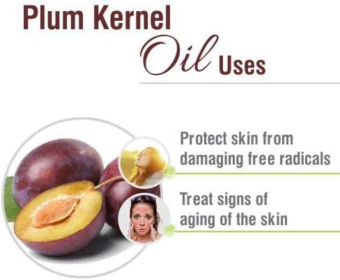 Salvia Plum Kernel Oil (Prunus domestica) 100% Natural & Pure Undiluted Uncut Carrier Oil for Skin & Hair Perfect for Aromatherapy Therapeutic Grade - (30 ML)
