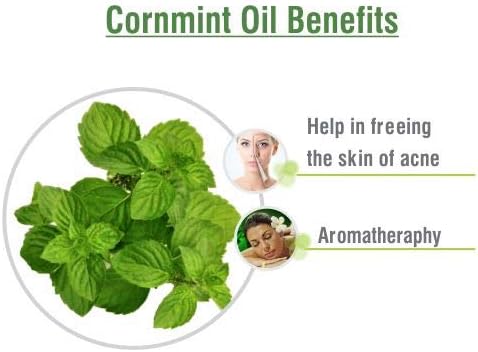 Salvia Cornmint (Mentha arvensis) Oil - 30ml/1.014Fl Oz