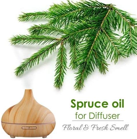 Salvia Spruce (Picea) Oil - 15ml/0.507Fl Oz with Dropper