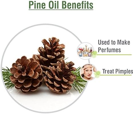 Pine (Pinus Sylvestris) Essential Oil 100% Pure & Natural - Undiluted Uncut Oil - Use for Aromatherapy - Therapeutic Grade - 50ml