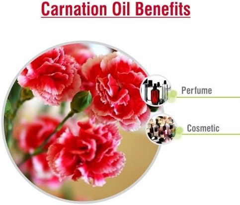Carnation (Dianthus caryophyllus) Therapeutic Essential Oil by Salvia Amber Bottle 100% Natural Uncut Undiluted Pure Cold Pressed Aromatherapy Premium Oil - 30ML/ 1.1fl oz