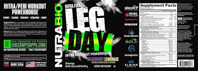 NutraBio Leg Day Intra Workout Powder – Advanced Carb Supplement with Cluster Dextrin & Electrolytes – Carb Powder with EAAs/BCAAs – Cyclic Dextrin for Performance – Blueberry Lemonade, 20 Servings
