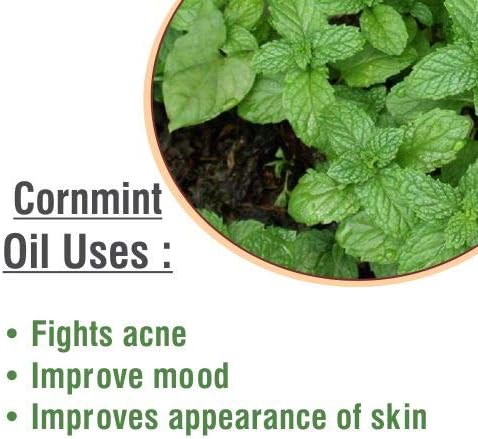Salvia Cornmint (Mentha arvensis) Oil - 30ml/1.014Fl Oz