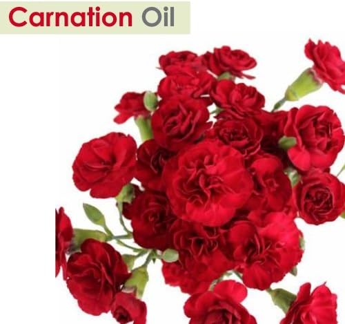Carnation (Dianthus caryophyllus) Therapeutic Essential Oil by Salvia Amber Bottle 100% Natural Uncut Undiluted Pure Cold Pressed Aromatherapy Premium Oil - 30ML/ 1.1fl oz