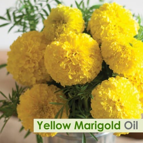 Salvia Yellow Marigold (Tagetes erecta) Oil - 30ml/1.014Fl Oz