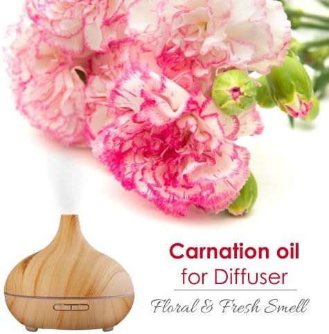 Carnation (Dianthus caryophyllus) Therapeutic Essential Oil by Salvia Amber Bottle 100% Natural Uncut Undiluted Pure Cold Pressed Aromatherapy Premium Oil - 30ML/ 1.1fl oz