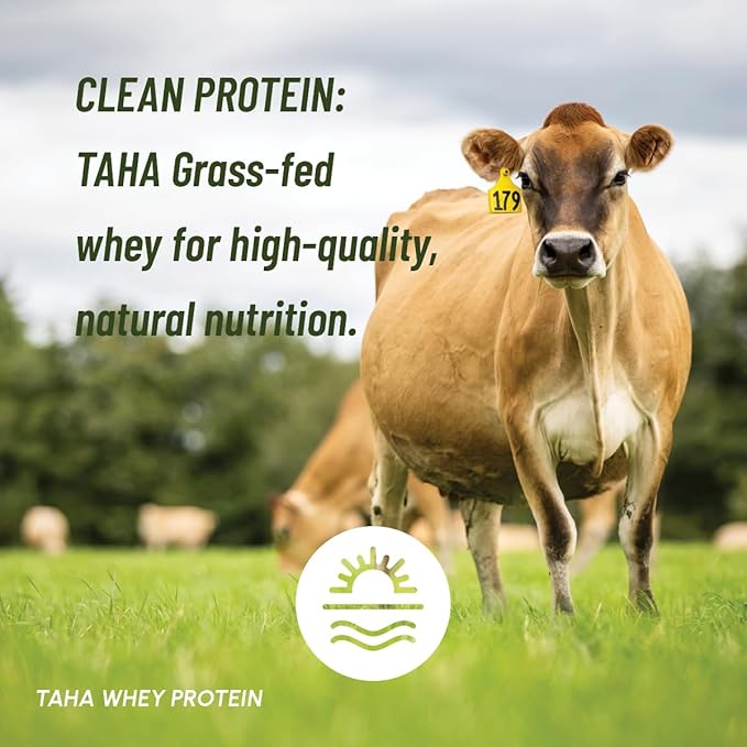 Taha Health & Nutrition Mind + Body Protein Blend – Madagascan Vanilla | 25g Protein from Whey & Collagen + 400mg Milk Phospholipids | Grass-Fed, Free-Range New Zealand Dairy | 2LB