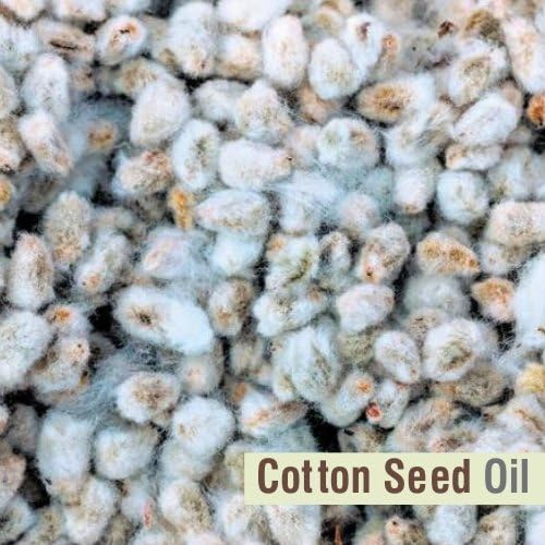 Cotton Seed (Gossypium Herbaceum) Oil Pure & Natural Undiluted Uncut Carrier Oil | Use for Aromatherapy | Therapeutic Grade - 30 ML (1.01 Fl oz)