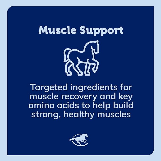 Uckele by SmartEquine Acetyl L-Carnitine HCL Powder | Horse Energy Supplement & Muscle Supplement for Horses Supporting Muscle Function & More | Antioxidant-Rich Pure Formula | 1 lb Bag