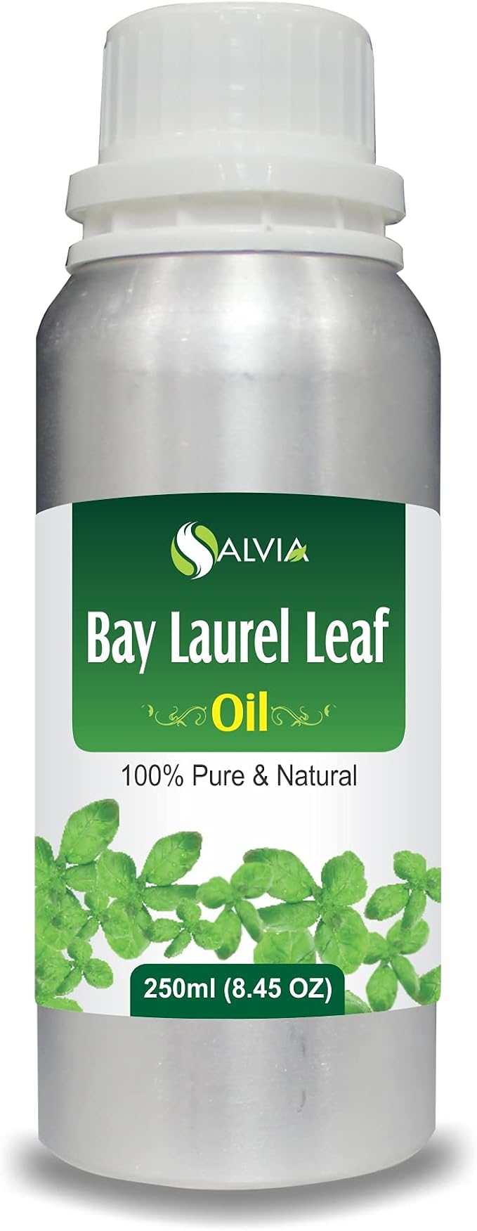 Bay Laurel Leaf Oil (Laurus Nobilis) Essential Oil 100% Pure & Natural Undiluted Unrefined Uncut Organic Standard Oil Therapeutic Grade Oil Aromatherapy Bulk Oil - 250ml