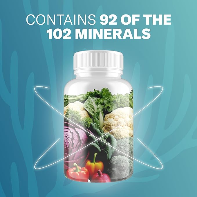 Irish Sea Moss Capsules - 120 Original Capsules (1600mg) - Prebiotic Superfood - Boosts The Immune & Digestive System - Healthy Skin, Keto Detox, Gut, Joint Support
