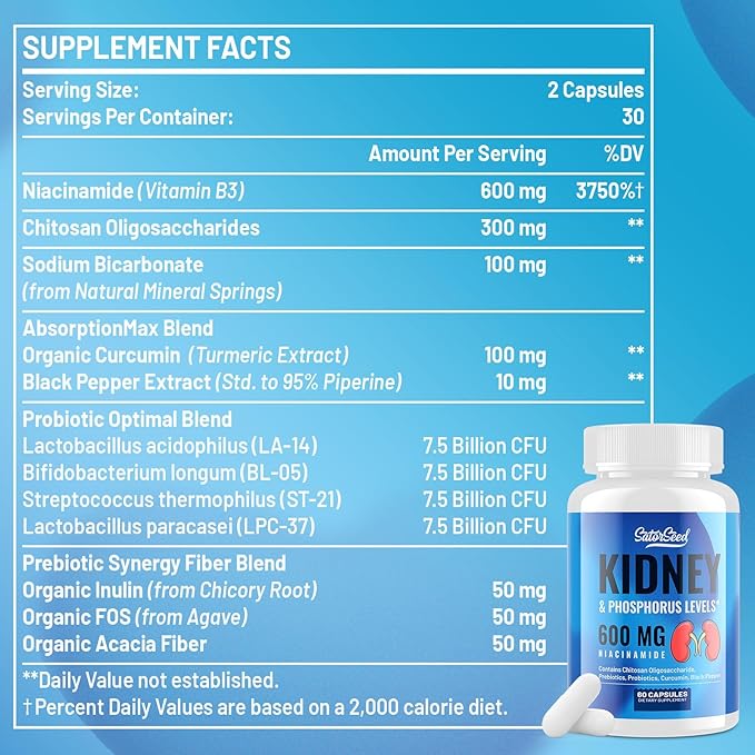 Kidney Cleanse Detox & Repair – Kidney Support Supplement with 600mg Niacinamide, Chitosan Oligosaccharide, Curcumin, Probiotics – Phosphorus Binder – 60 Capsules