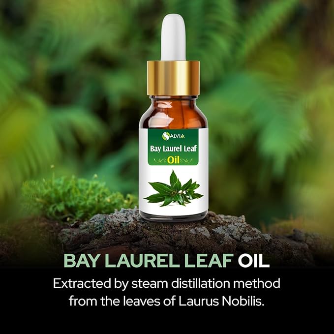 Salvia Bay Laurel Leaf Oil (Laurus Nobilis) 100% Pure & Natural Undiluted Essential Oil, 30ml/1.01fl oz
