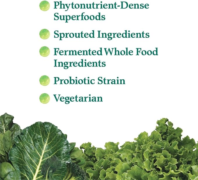 Garden of Life Perfect Food Original Super Green Formula - 30 Servings | 45 Superfoods, Greens, Sprouts Plus HSO Probiotics, Enzymes & Ionic Plant Based Minerals - Juiced Superfood Powder Supplement