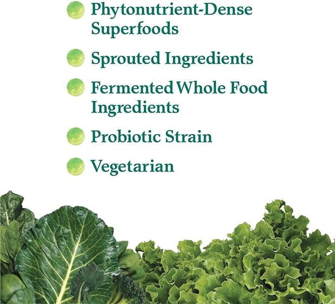 Garden of Life Perfect Food Super Green Formula - 60 Servings, 45 Superfoods, Greens, Fruit & Veggie Juice Superfood Powder Supplement, Probiotics & Organic Spirulina for Digestion & Immune Health