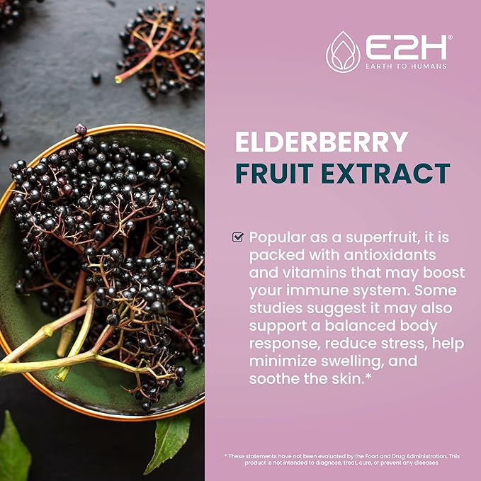 E2H Elderberry Syrup – Powerfull Antioxidants Supplement from Organic Elderberries Extract – Sambucus Elderberry Syrup for Kids & Adults for Immune Support | Non-GMO, Vegan (3 Bottles)