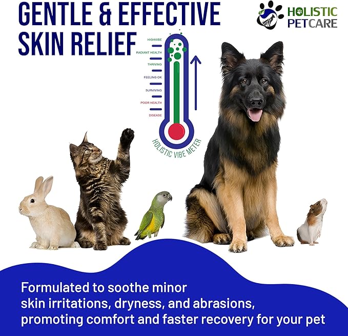 Colloidal Silver Gel – Natural Healing Gel for Pets, Non-Irritating Formula for Skin Irritations, Minor Abrasions, and Dryness, Soothing and Gentle, 8oz Bottle