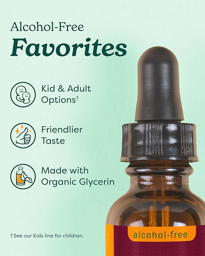 USDA Organic Ashwagandha Supplement for Stress Relief & Calm Energy*: Vegan Adaptogen Drops, Non-GMO Ashwagandha Extract, Alcohol-Free, 4 Oz | Up to 3 Months Supply