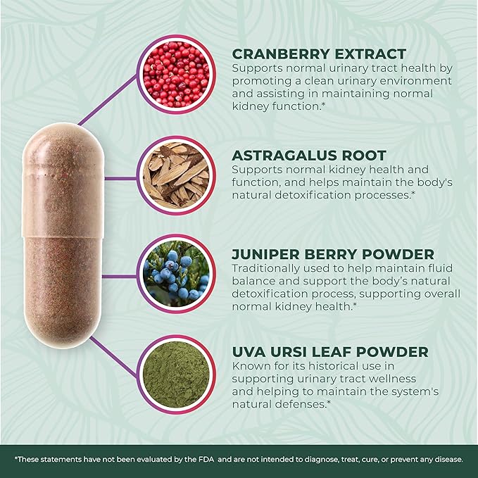 PurePremium Kidney Support Supplement – Kidney Cleanse Detox & Repair with Cranberry Extract & Astragalus - 21-in-1 Complex Supports Normal Bladder, Urinary Tract & Kidneys Health - 60 Day Supply