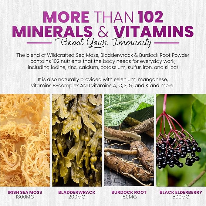 Irish Sea Moss Gummies with Elderberry & Black Seed Oil - Overall Wellness Support | Rich in Vitamins, Raspberry Flavor | 60 Gummies