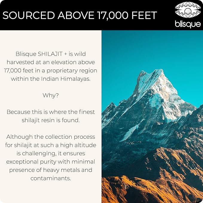 Blisque - Pure Himalayan Organic Shilajit Resin Supplement | for Cognitive Support | with Organic Bacopa and Gotu Kola | Authentic and Natural | 60 Grams