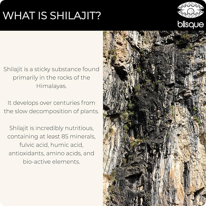 Blisque - Pure Himalayan Organic Shilajit Resin Supplement | for Cognitive Support | with Organic Bacopa and Gotu Kola | Authentic and Natural | 60 Grams