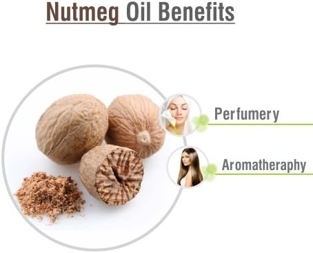 Salvia Bulk Nutmeg (Myristica Fragrans) Oil - 250ml/8.45Fl Oz
