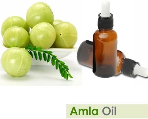 Amla (Emblica Officinalis) Essential Oil 100% Pure & Natural Undiluted Uncut Oil | Use for Aromatherapy | Therapeutic Grade (15 ml (0.50 Ounce))