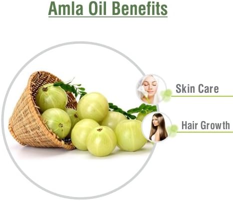 Amla (Emblica Officinalis) Essential Oil 100% Pure & Natural Undiluted Uncut Oil | Use for Aromatherapy | Therapeutic Grade (30 ml (1.01 Ounce))