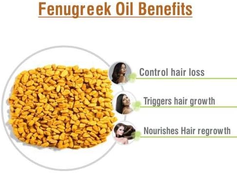 Fenugreek (Trigonella foenum) Essential Oil 100% Pure & Natural Undiluted Uncut Therapeutic Oil - Use for Aromatherapy (15ml)