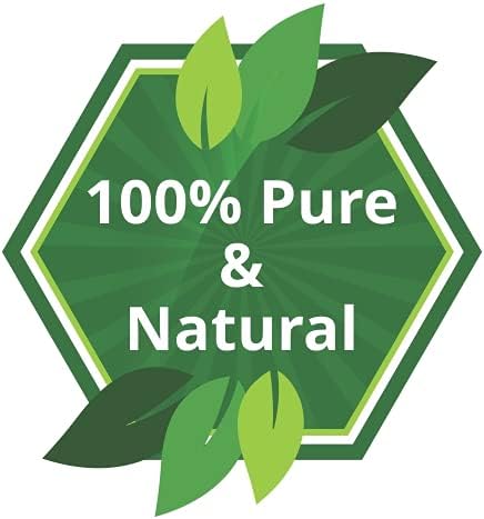 Aloe Vera Oil Therapeutic Premium Oil with Dropper by Salvia in Amber Glass Bottle 100% Natural Pure Undiluted Cold Pressed Aromatherapy Carrier Oil (50 ML with Dropper)