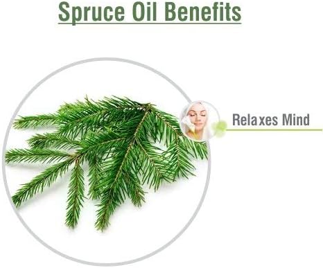 Salvia Spruce (Picea) Oil - 15ml/0.507Fl Oz with Dropper