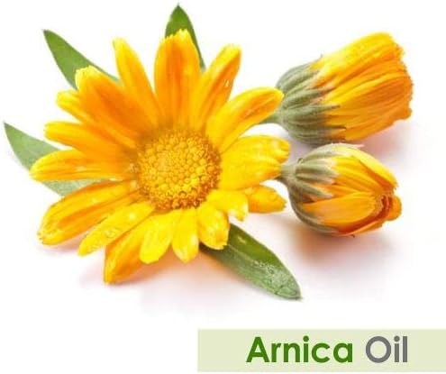 Arnica (Arnica Montana) Therapeutic Essential Oil (100 ml (3.38 Fl Oz))