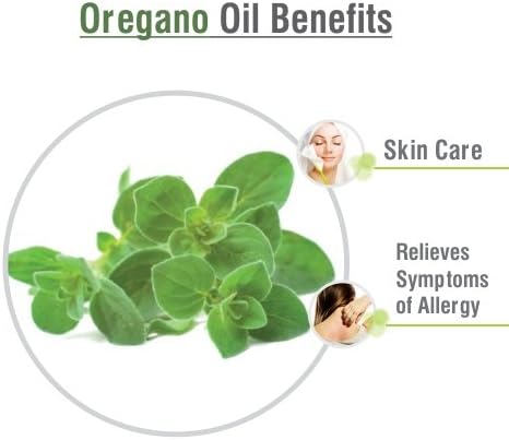 Salvia Oregano (Origanum vulgare) Oil - 30ml/1.014Fl Oz