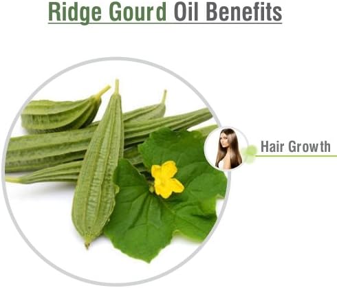 Salvia Ridge Gourd (Lufa Acutangula) Carrier Oil 100% Pure & Natural - Undiluted Uncut Cold Pressed Oil - Therapeutic Grade - 30 ML