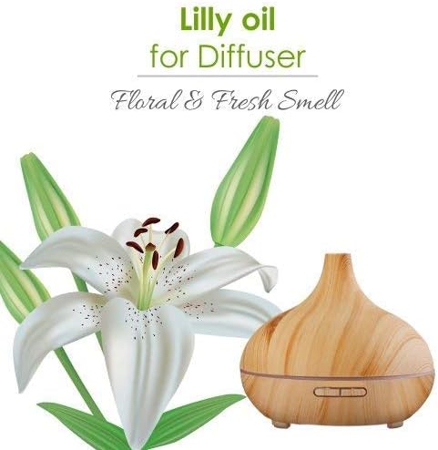 Salvia Lily (Lilium Auratum) Oil - 30ml/1.014Fl Oz - 100ml/3.38Fl Oz with Dropper