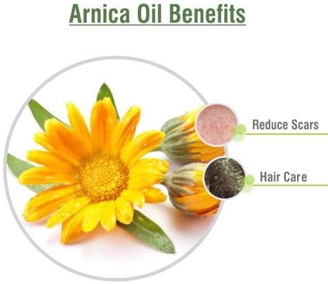 Arnica (Arnica Montana) Therapeutic Essential Oil (100 ml (3.38 Fl Oz))