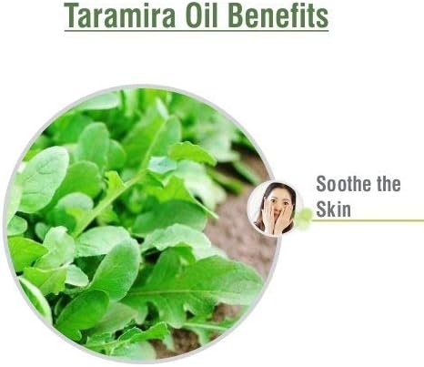 Taramira (Eruca Sativa) Essential Oil 100% Pure & Natural - Undiluted Uncut Premium Oil - Use for Aromatherapy - Therapeutic Grade - 15ml with Dropper / 0.50 Oz