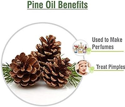 Pine (Pinus Sylvestris) Essential Oil 100% Pure & Natural - Undiluted Uncut Oil - Use for Aromatherapy - Therapeutic Grade - 50ml with Dropper
