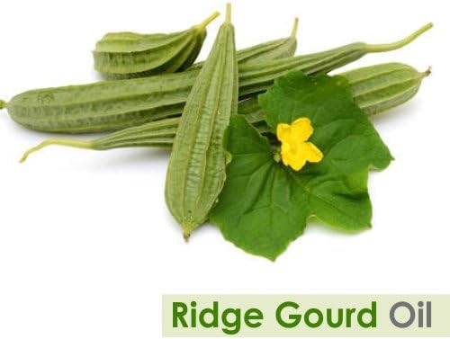 Salvia Ridge Gourd (Luffa Acutangula) Oil - 100ml/3.38Fl Oz with Dropper