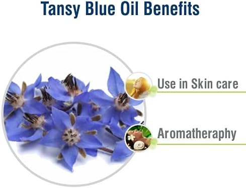 Salvia Tansy Blue Organic Standard Oil 15ml/0.50fl oz - Pure & Natural Undiluted Aromatherapy Oil
