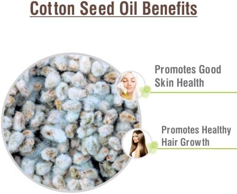 Cotton Seed (Gossypium Herbaceum) Oil Pure & Natural Undiluted Uncut Carrier Oil | Use for Aromatherapy | Therapeutic Grade - 30 ML (1.01 Fl oz)
