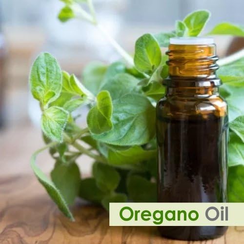 Salvia Oregano (Origanum vulgare) Oil - 30ml/1.014Fl Oz