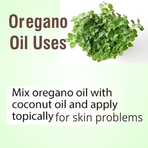 Salvia Oregano (Origanum vulgare) Oil - 30ml/1.014Fl Oz