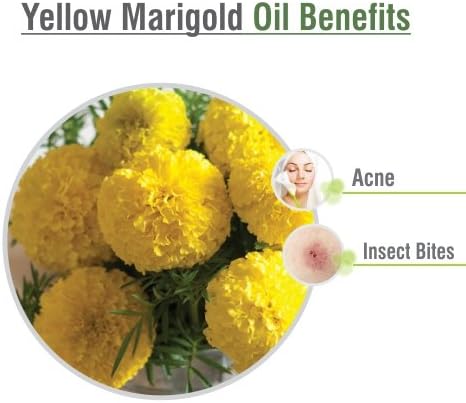Salvia Yellow Marigold (Tagetes erecta) Oil - 50ml/1.69Fl Oz