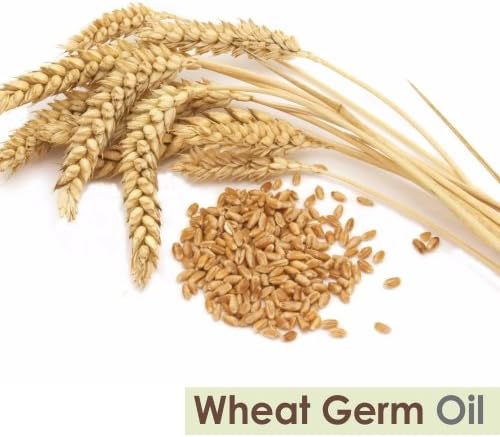 Wheat Germ (Triticum aestivum) Essential Oil 100% Pure & Natural Undiluted Uncut Cold Pressed Oil | Use for Aromatherapy & Skin | Therapeutic Grade - 50 ML