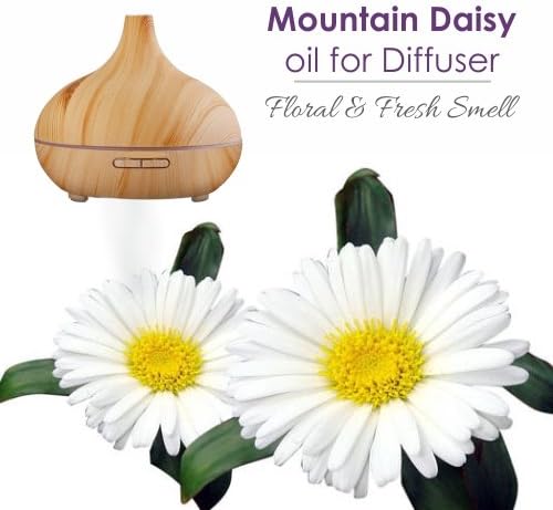Mountain Daisy (Celmisia Spectabilis) Essential Pure & Natural Undiluted Uncut Oil - 15 ml