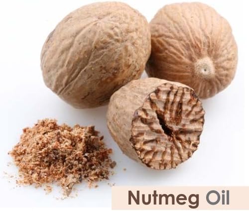 Salvia Bulk Nutmeg (Myristica Fragrans) Oil - 250ml/8.45Fl Oz