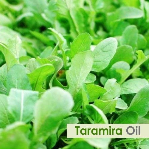 Taramira (Eruca Sativa) Essential Oil 100% Pure & Natural - Undiluted Uncut Premium Oil - Use for Aromatherapy - Therapeutic Grade - 15ml with Dropper / 0.50 Oz